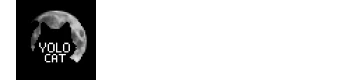 YOLO-Cat