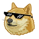 Dr.Awesome Doge