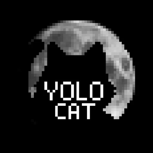 YOLO-Cat