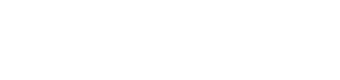 Lin & Partners